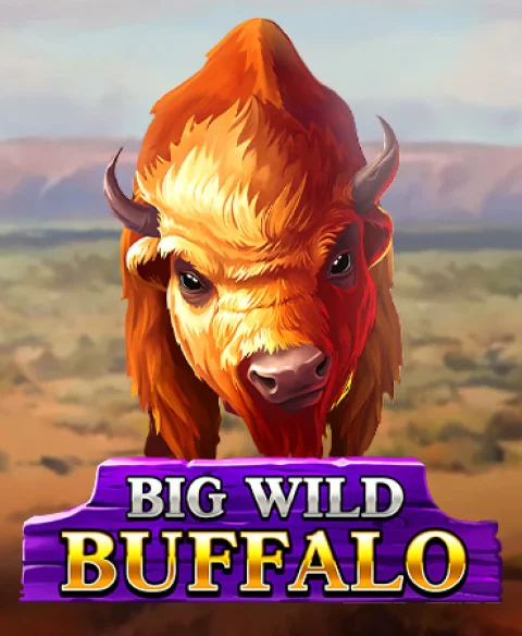 Play Big Wild Buffalo at Fortune Club Hero Casino